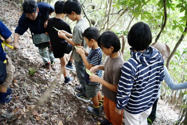 柳沢直先生レクチャー