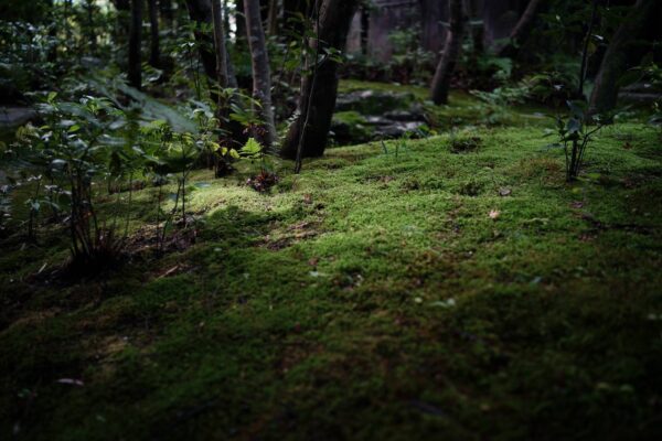 ランドスキップアトリエ