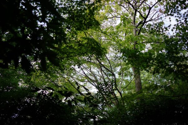 ランドスキップアトリエ