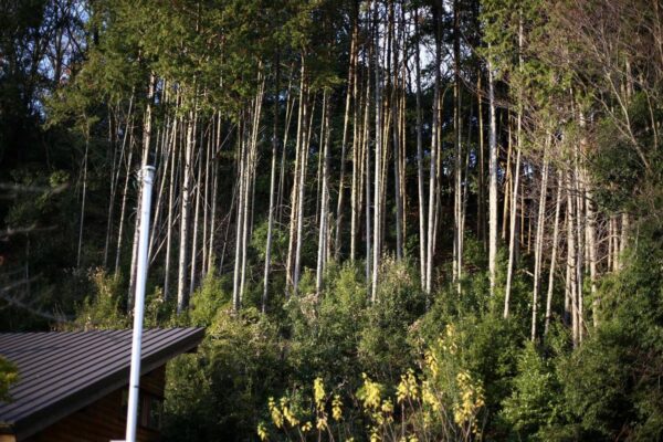 エイチ・アンド一級建築士事務所