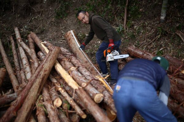 秀野祐介ヒノキのスツール
