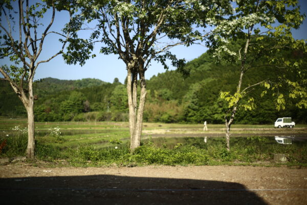 窓から見える里山の風景