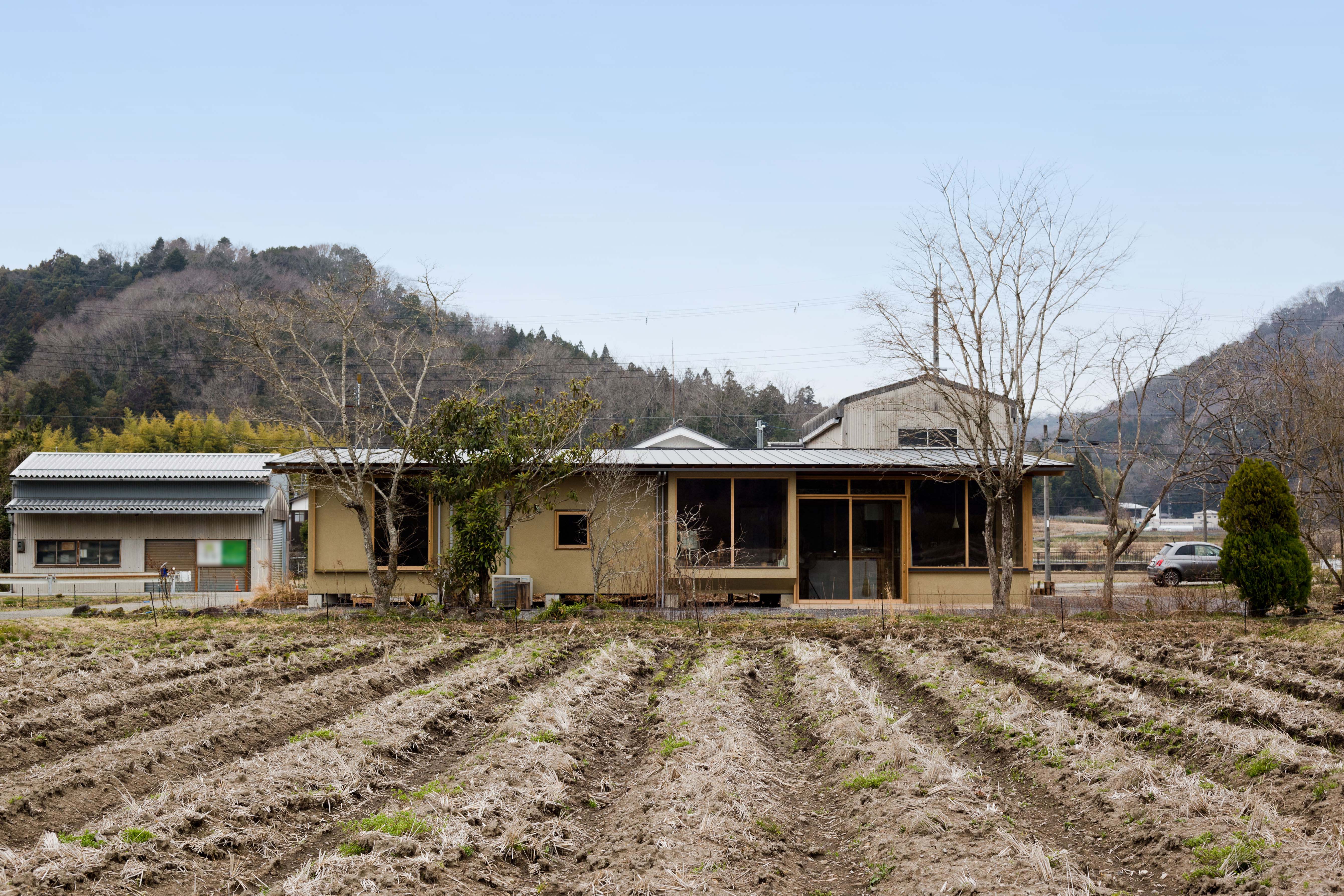 モルタル掻き落としの外観